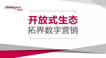 营销视角下程序化行业的开放 技术咨询的深层剖析